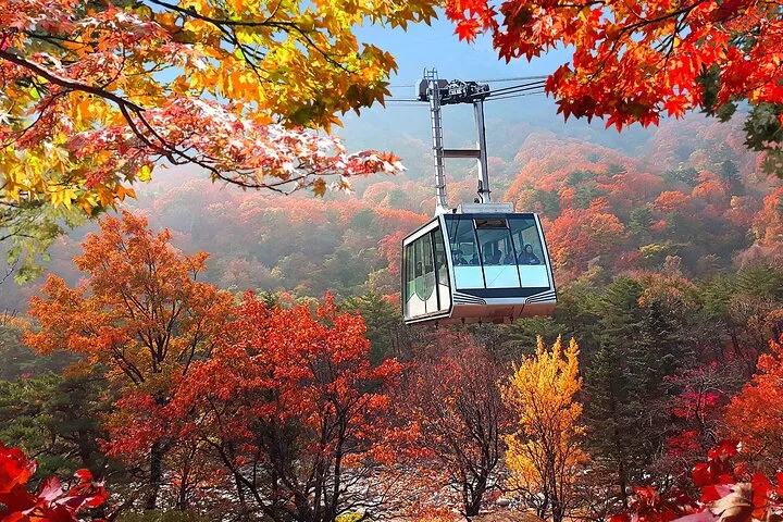 7D 5N SPARKLING KOREA BUSAN NAMI ISLAND + MT.SEORAK & 1D FREE TIME SEOUL by Singapore Airlines